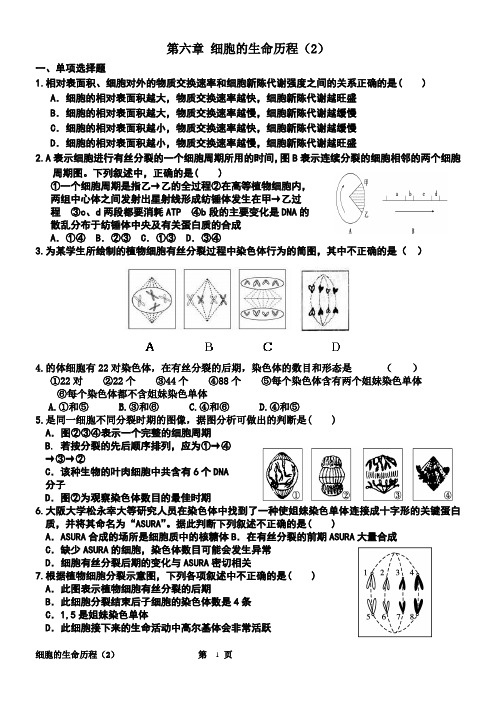 生物必修一第六章练习题