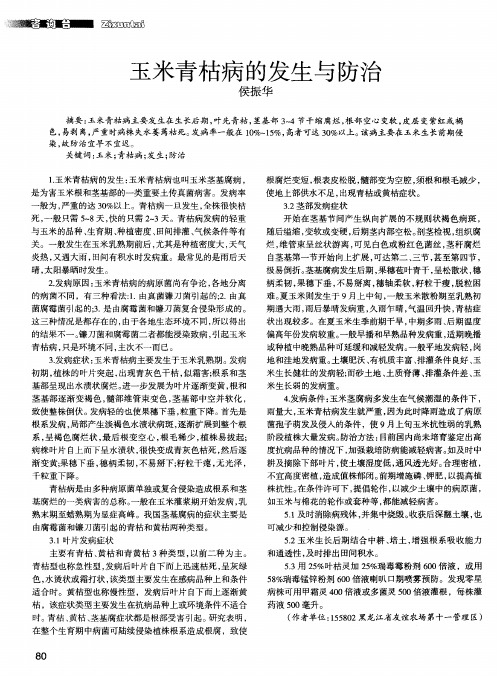 玉米青枯病的发生与防治