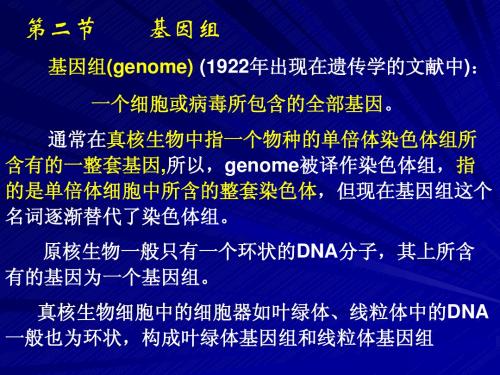 分子遗传学2(1w)