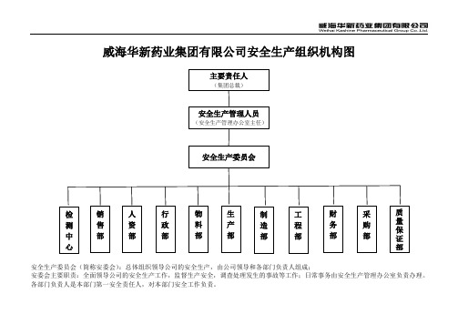 安全生产组织机构图