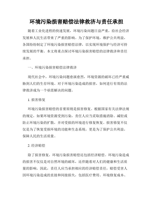 环境污染损害赔偿法律救济与责任承担