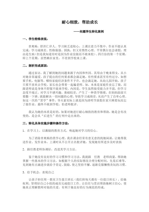 教育随笔《耐心细致,帮助成长——问题学生转化案例》