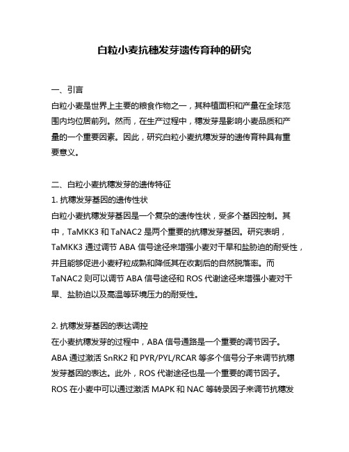 白粒小麦抗穗发芽遗传育种的研究