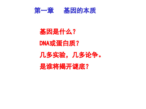 DNA证据