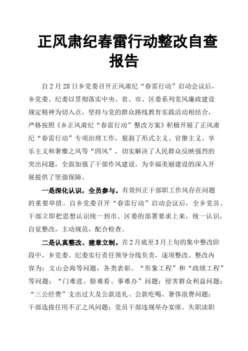 正风肃纪春雷行动整改自查报告