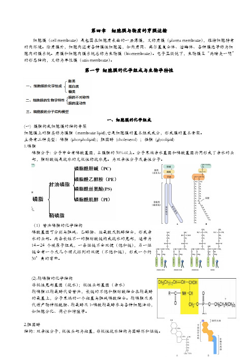 《医用细胞生物学》知识总结