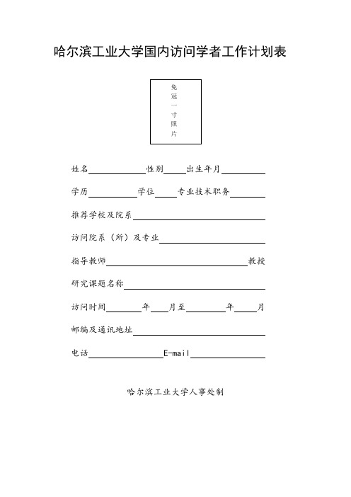 哈尔滨工业大学国内访问学者工作计划表