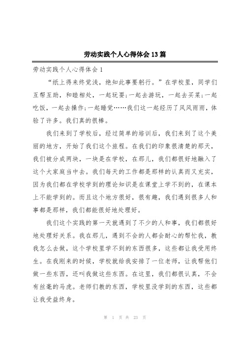 劳动实践个人心得体会13篇