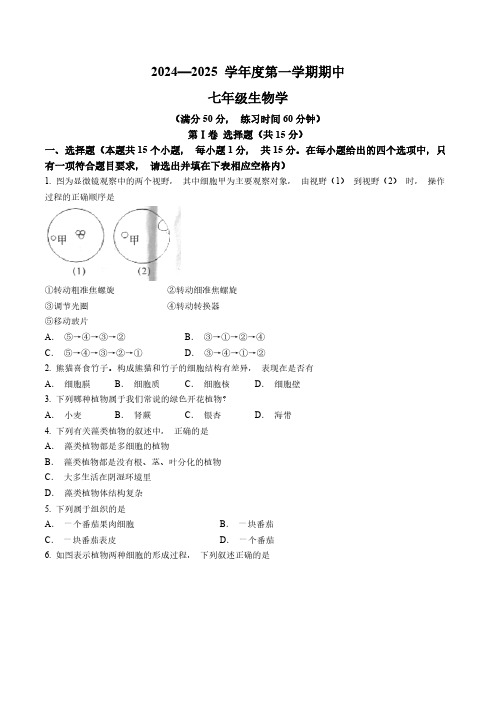 山西省忻州市2024-2025学年七年级上学期期中生物学试题(含答案)