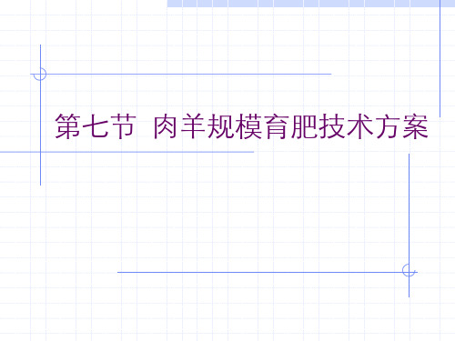 第七节  肉羊规模育肥技术方案