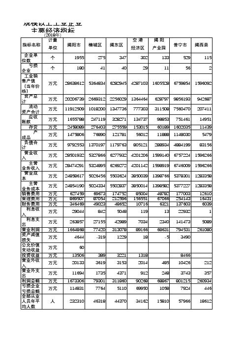 揭阳市统计年鉴2019社会经济发展指标数据：规模以上工业企业主要经济指标