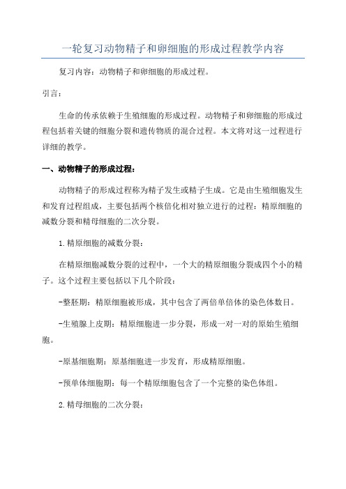 一轮复习动物精子和卵细胞的形成过程教学内容