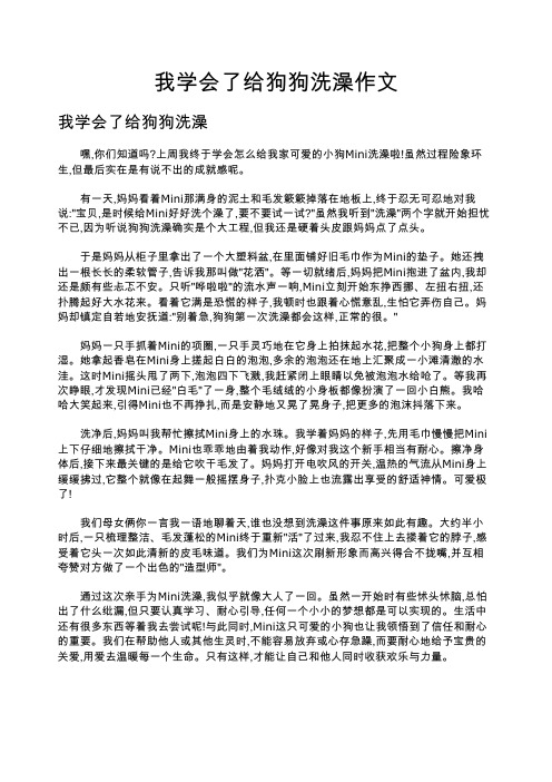 我学会了给狗狗洗澡作文