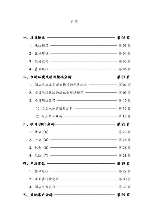 佘山桃源路项目可行性研究报告