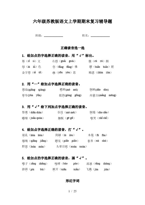 六年级苏教版语文上学期期末复习辅导题