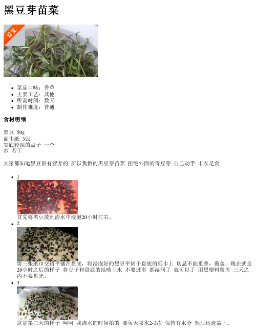 黑豆芽苗菜——精选推荐