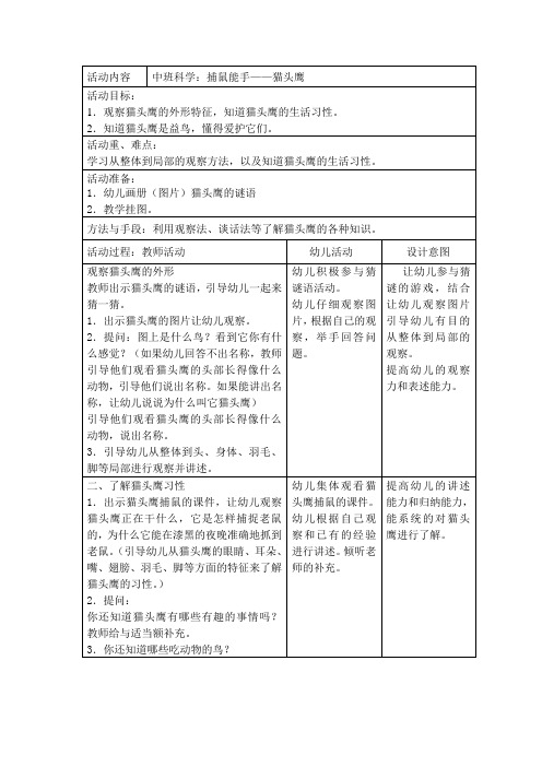 幼儿园中班科学：捕鼠能手—猫头鹰教案