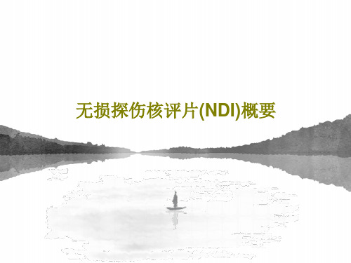 无损探伤核评片(NDI)概要110页PPT