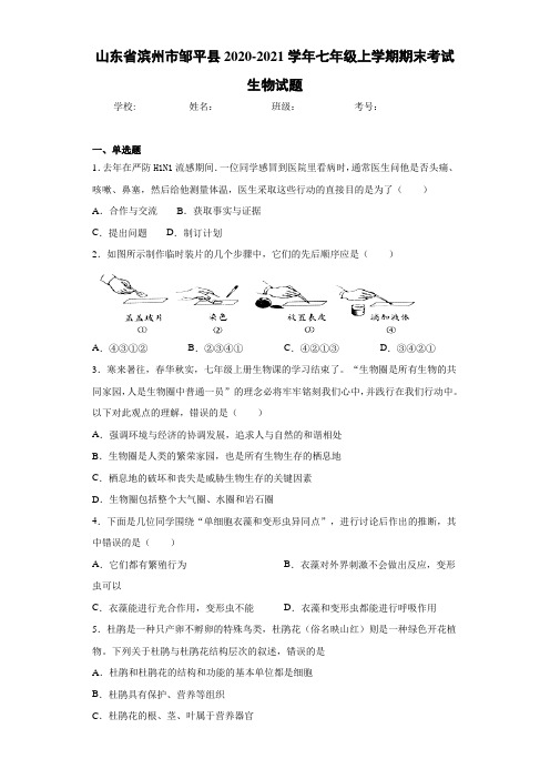 山东省滨州市邹平县2020-2021学年七年级上学期期末考试生物试题