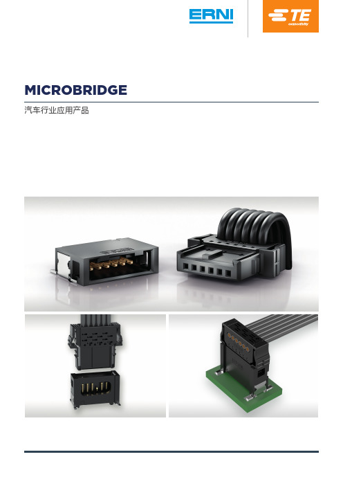 汽车行业应用产品MicroBridge 2说明书