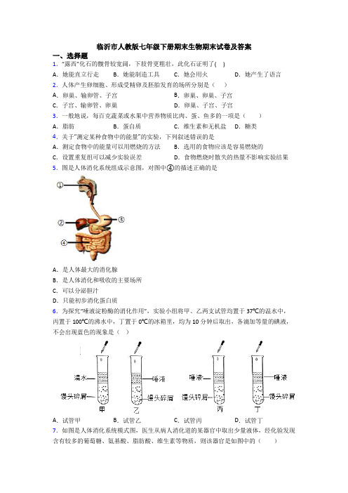 临沂市人教版七年级下册期末生物期末试卷及答案