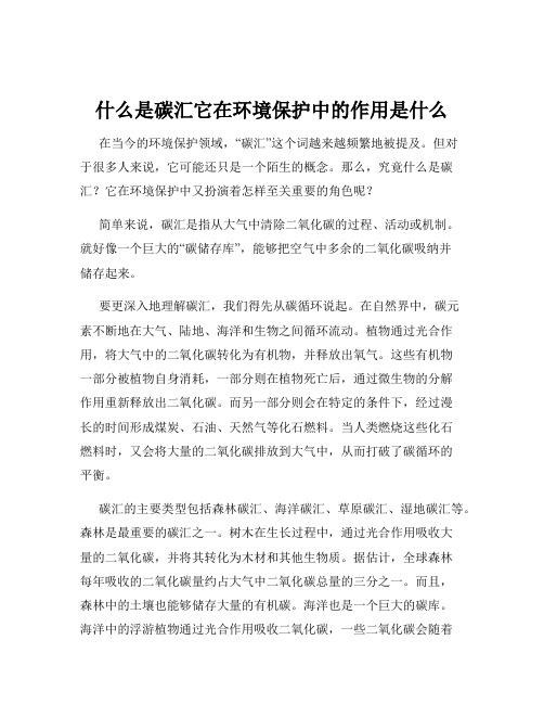 什么是碳汇它在环境保护中的作用是什么