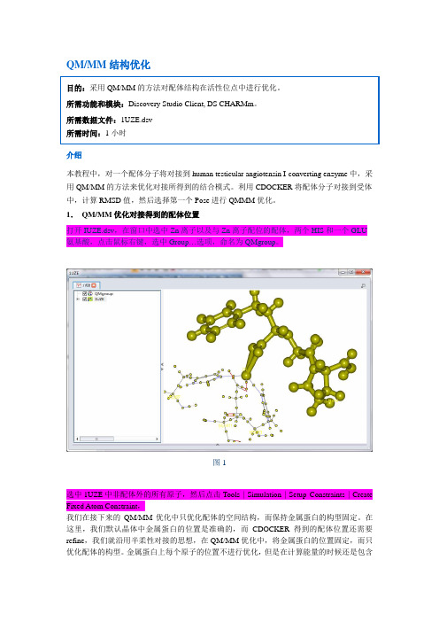 Discovery Studio官方教程--采用QMMM的方法对配体结构在活性位点中进行优化