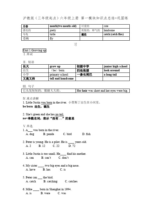 沪教版(三年级起点)六年级上册 第一模块知识点总结+巩固练习