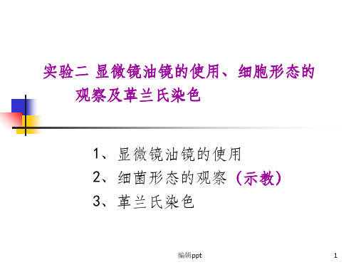 实验二显微镜油镜的使用、细胞形态的观察及革兰氏染色