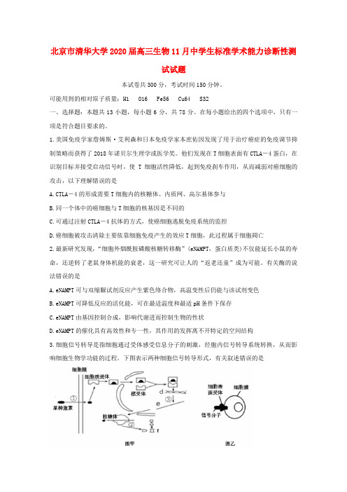 北京市清华大学2020届高三生物11月中学生标准学术能力诊断性测试试题