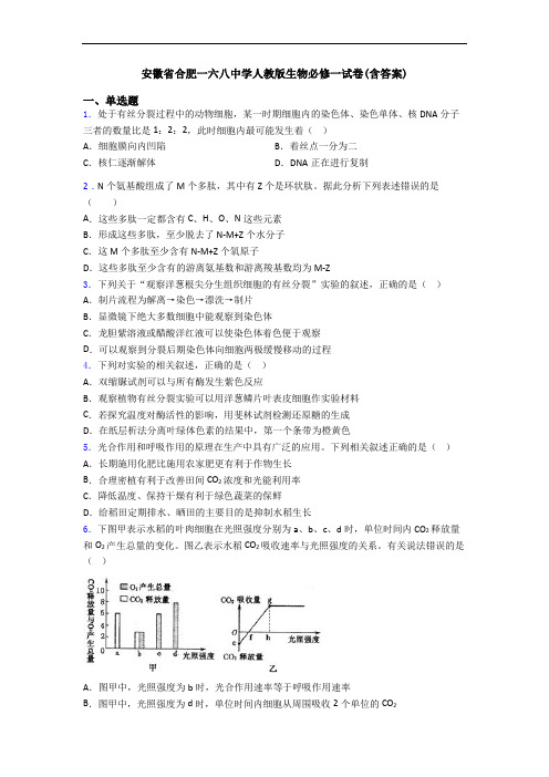 安徽省合肥一六八中学人教版生物必修一试卷(含答案)