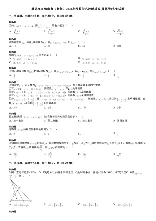 黑龙江双鸭山市(新版)2024高考数学苏教版模拟(强化卷)完整试卷