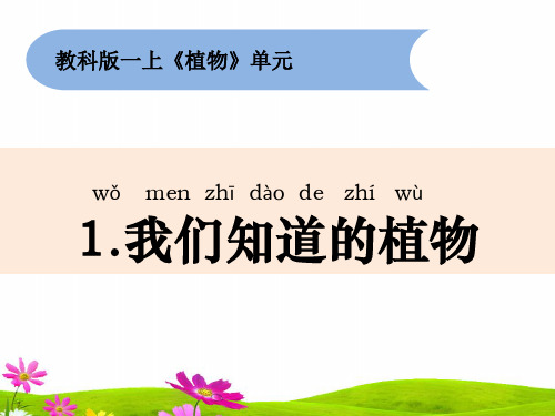 最新教科版一年级科学上册《我们知道的植物》精品课件