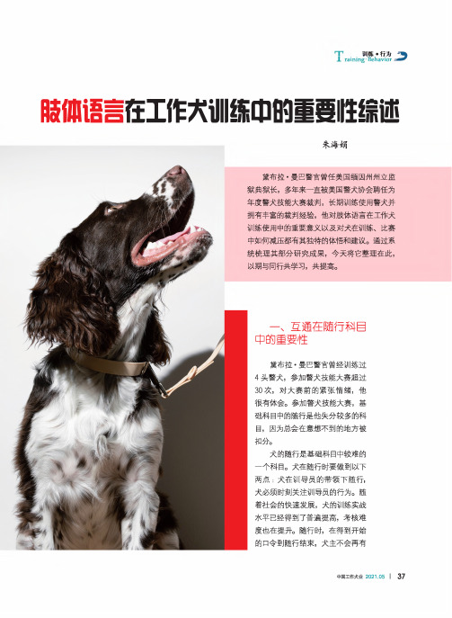 肢体语言在工作犬训练中的重要性综述