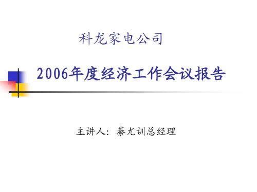 家电公司2006年度经济工作报告