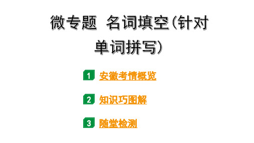 2024安徽中考英语二轮复习 微专题 名词填空(针对单词拼写)(课件)