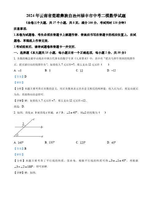 2024年云南省楚雄彝族自治州禄丰市中考二模数学试题(解析版)