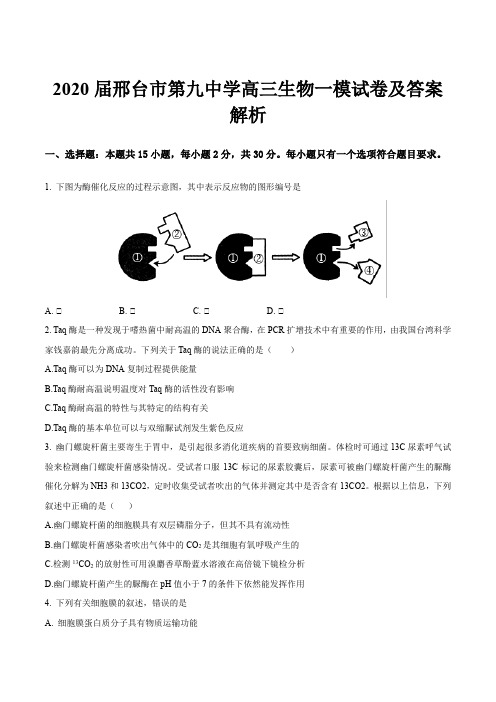 2020届邢台市第九中学高三生物一模试卷及答案解析