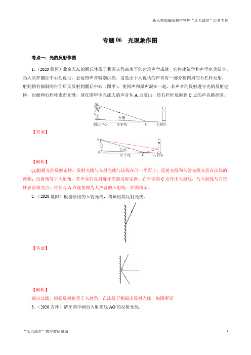 中考物理精选考点专项突破专题06光现象作图 (解析版)