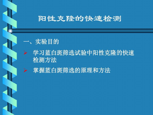 培训学习资料-蓝白斑筛选lacZ-2022年学习资料