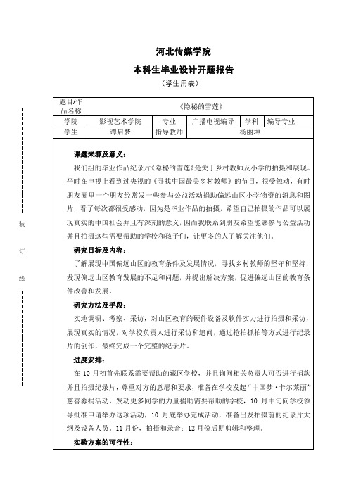 影视毕业设计开题报告