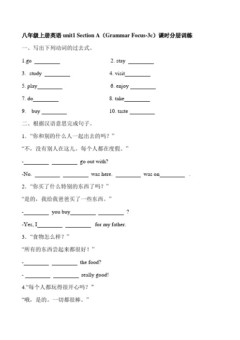 人教版新目标八年级上册英语unit1 Section A (Grammar Focus-3c)课时分层训练作业