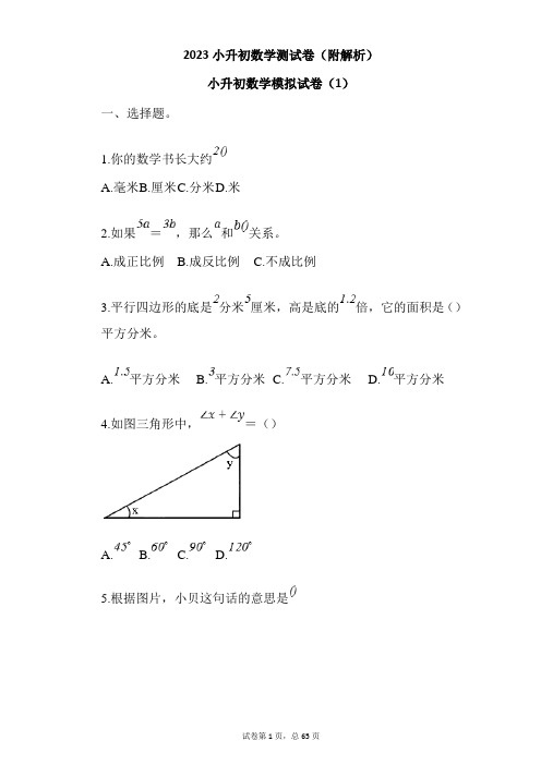 2023小升初数学测试卷(附解析)