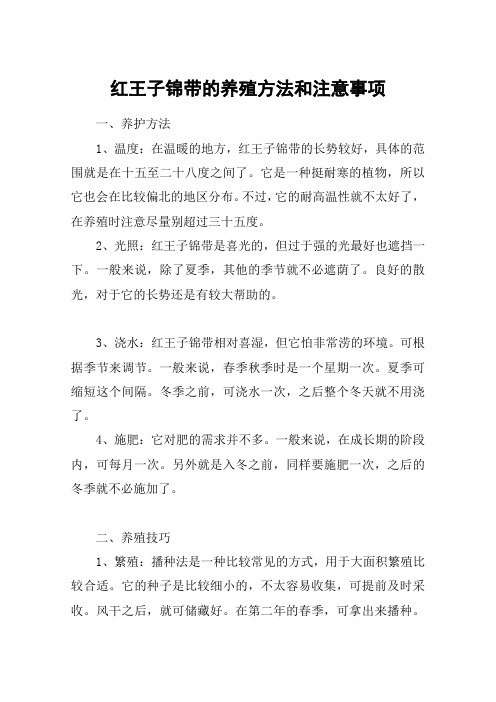 红王子锦带的养殖方法和注意事项