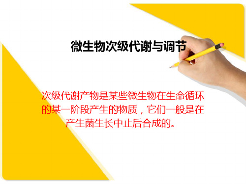 微生物次级代谢与调节