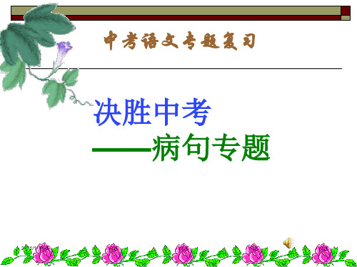 中考语文复习公开课修改病句专题课件20323【优质PPT】