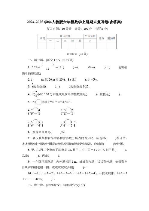 2024-2025学年人教版六年级数学上册期末复习卷(含答案)