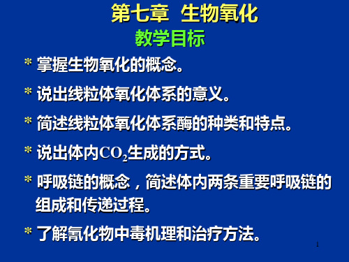 第七章生物氧化二