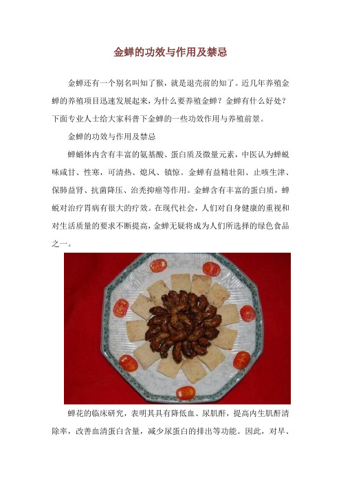 金蝉的功效与作用及禁忌