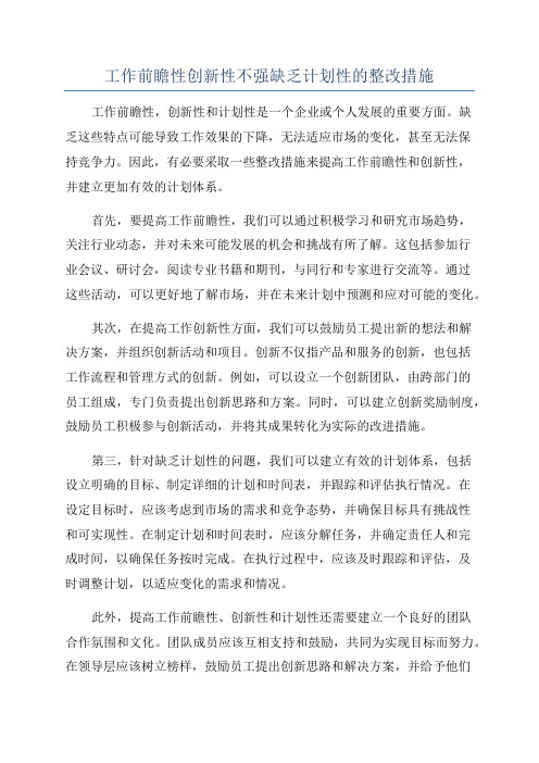 工作前瞻性创新性不强缺乏计划性的整改措施